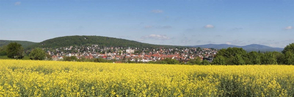Panorama Hofheim aus Richtung Landratsamt